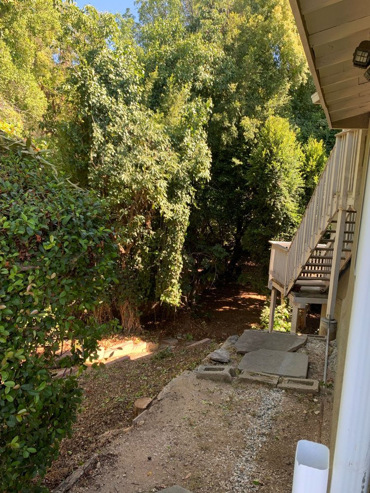 White Valley Tree Services