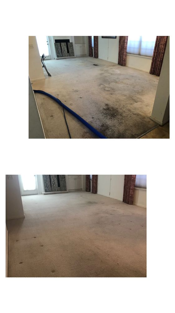 C & C Carpet Care