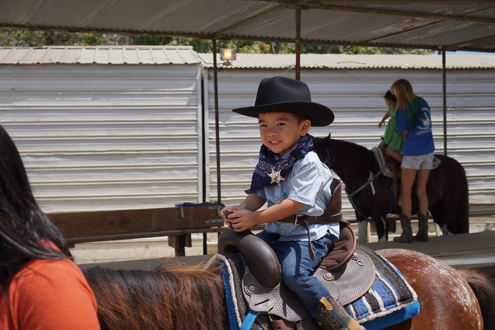 Pony Time At Lakewood Equestrian Center 20 Photos Horseback Riding