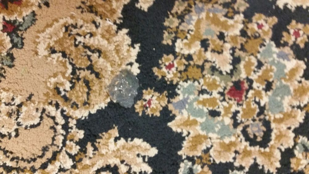 The Rose Garden 14 Photos Venues & Event Spaces 911 Arena Dr