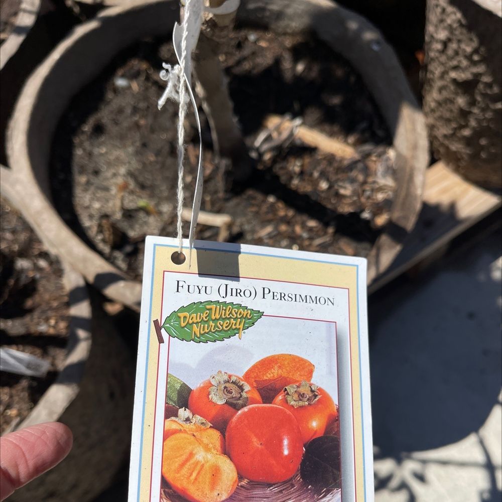 Buy a Tractor Supply Gift Card Carson City, NV Giftly