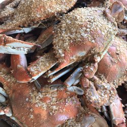 Best All You Can Eat Crabs Near Colonial Beach Va 22443 Last 6 Shymansky S