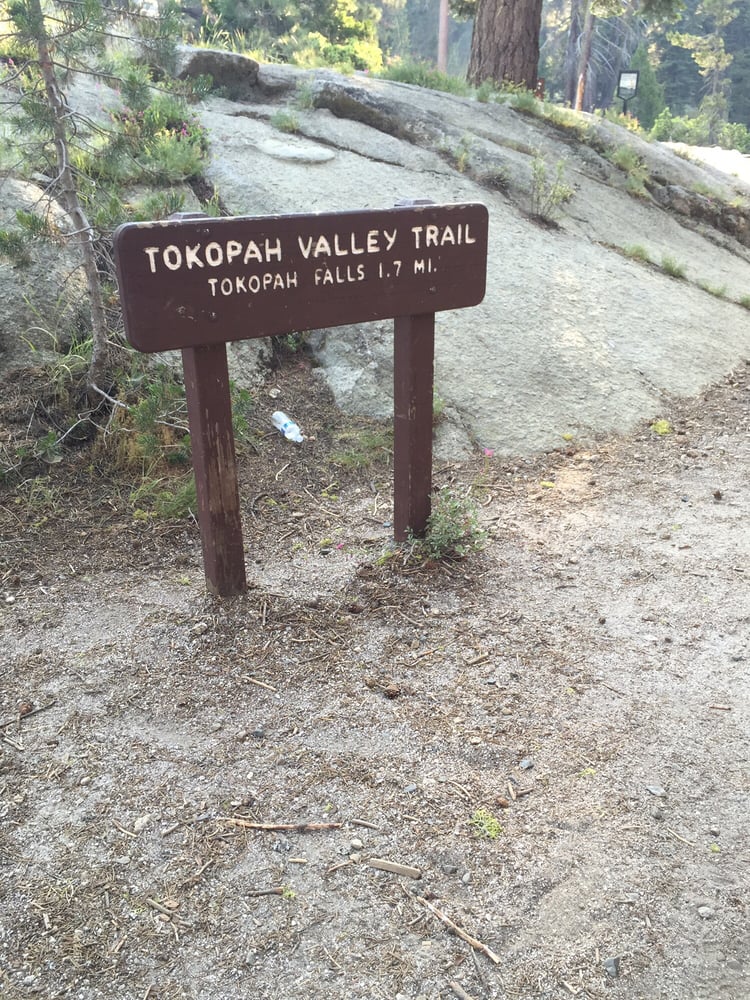 Tokopah Falls 37 Photos & 14 Reviews Hiking Lodgepole Campground