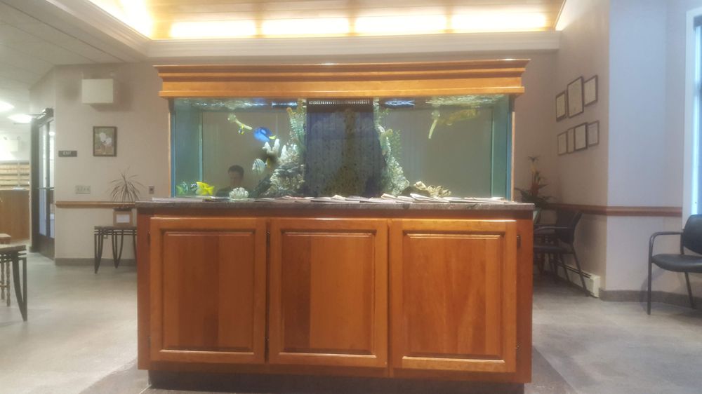 image of business Dileo Oral & Maxillofacial Surgery