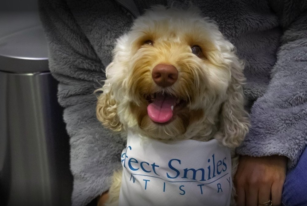 image of business Perfect Smiles Dentistry