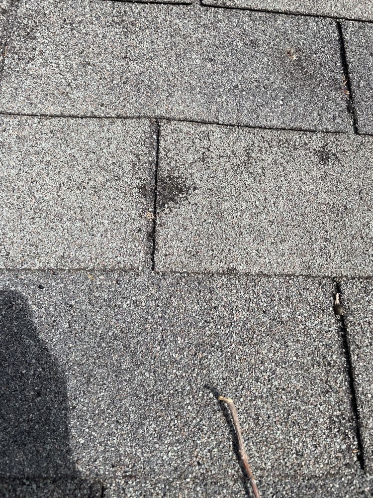 Big State Roofing & Restoration