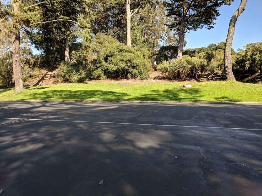 6th Avenue Skate Park Skate Parks Fulton St And 6th St, San