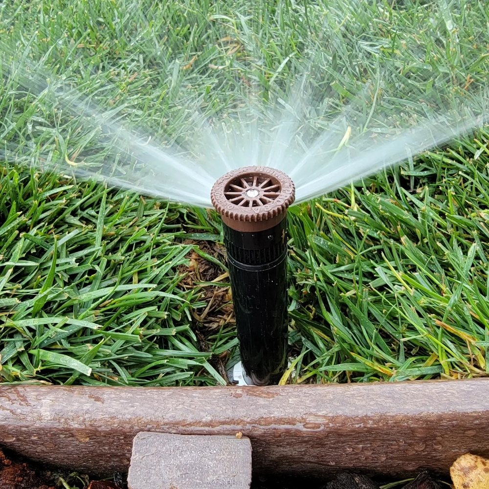 Scape Aesthetics Landscaping & Gardening