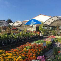 Nurseries Gardening In Santa Clara Yelp Summerwinds Nursery Cupertino