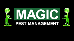 Magic Pest Management