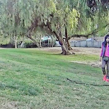 Dog Training Playa Del Rey Ca Dog Training Playa Del Rey Ca
