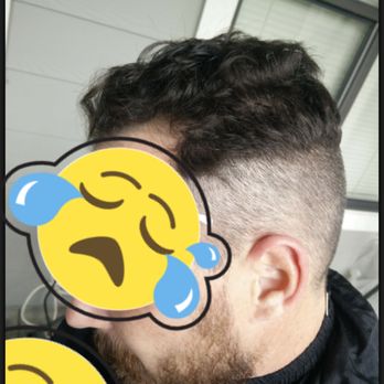 birds barber