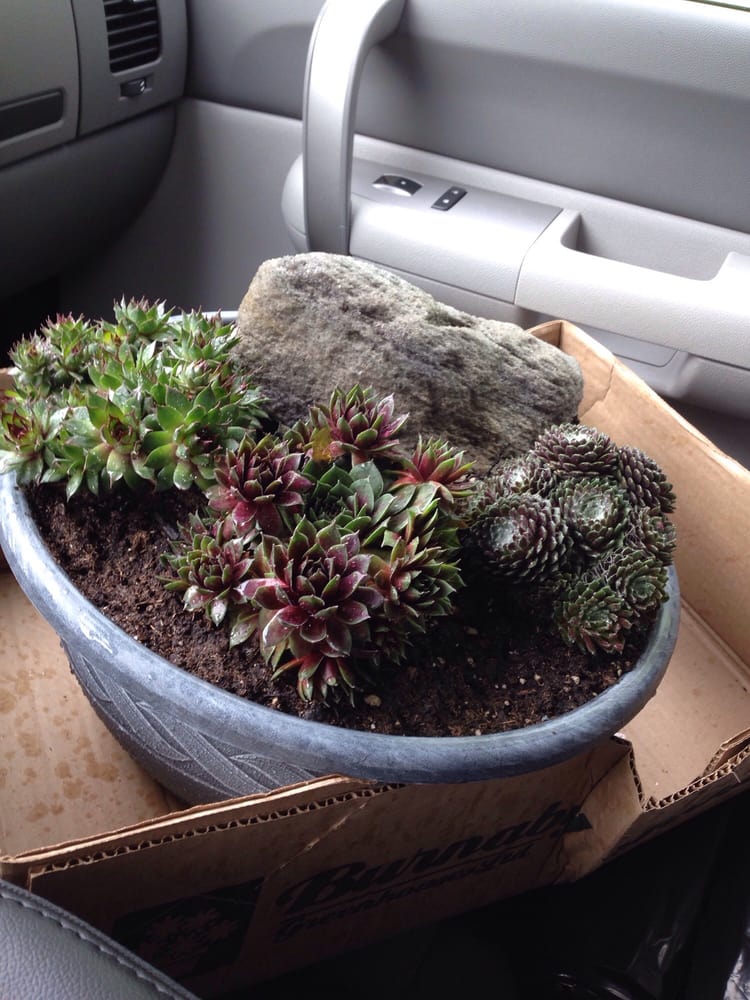 Marshall's Garden & Pet