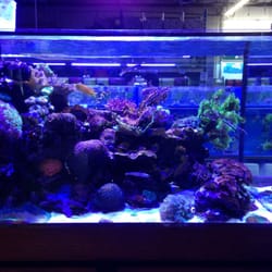 aquatic warehouse 111 photos