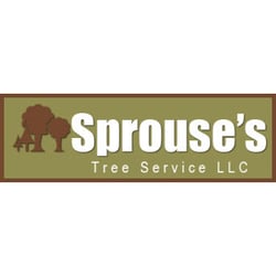Tree Service Bridgeton  Photo of Sprouse Tree Service - Bridgeton, NJ, United States