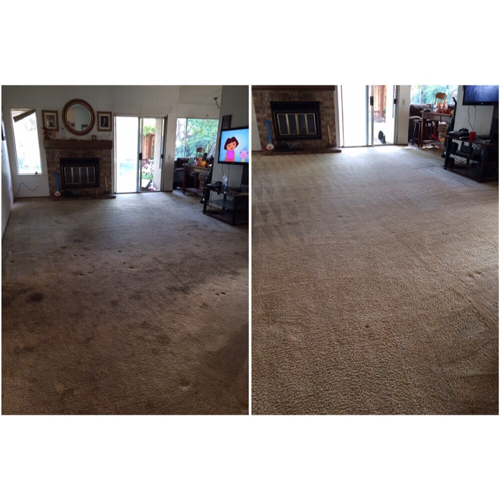 World Class Carpet Cleaning - 138 Photos & 290 Reviews - Carpet