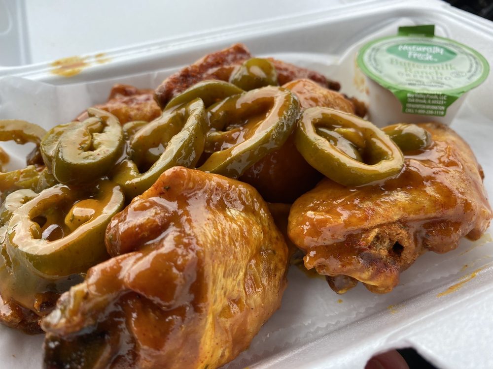 Wings On The Fly