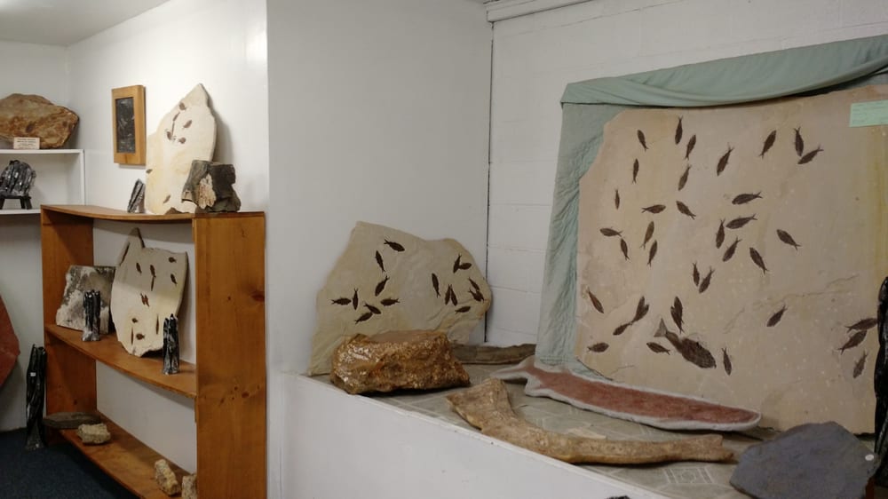 Consolidated Rock & Mineral Shop 121 Photos & 43 Reviews Jewelry