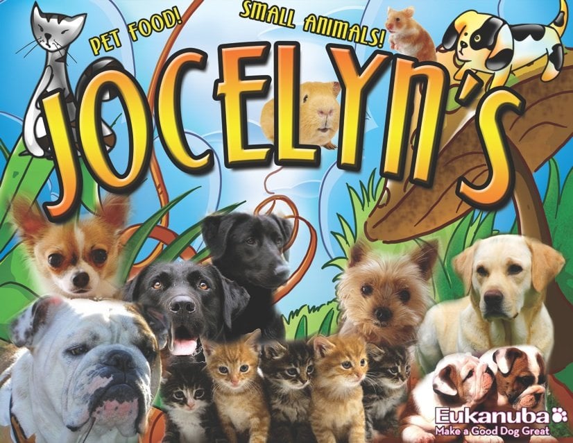 jocelyn s puppies pet supplies pet shops 10 carlisle jocelyn s puppies pet supplies pet shops 10 carlisle