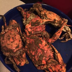 Dinardo S Famous Crabs Closed 120 Photos 250 Reviews Seafood Photo Of Dinardo S Famous Crabs Philadelphia Pa United States All You Can