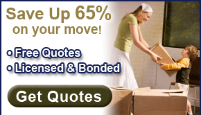 Best Movers Of America