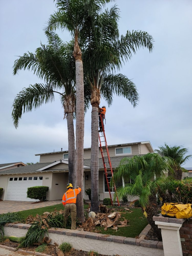 Joel's Tree Service