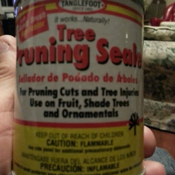 Ty Ty Nursery 72 Photos & 81 Reviews Nurseries & Gardening 4723