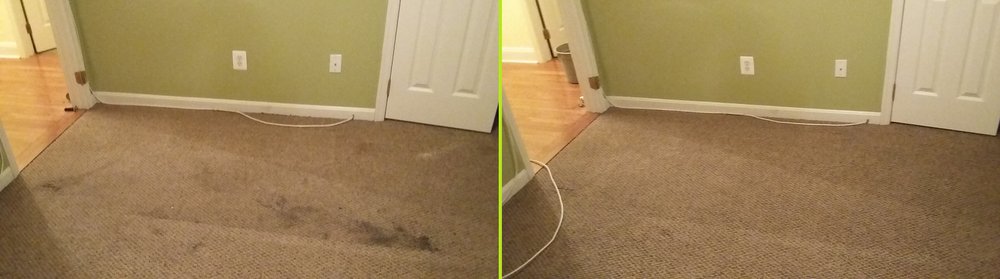 The Mean Green Carpet Clean