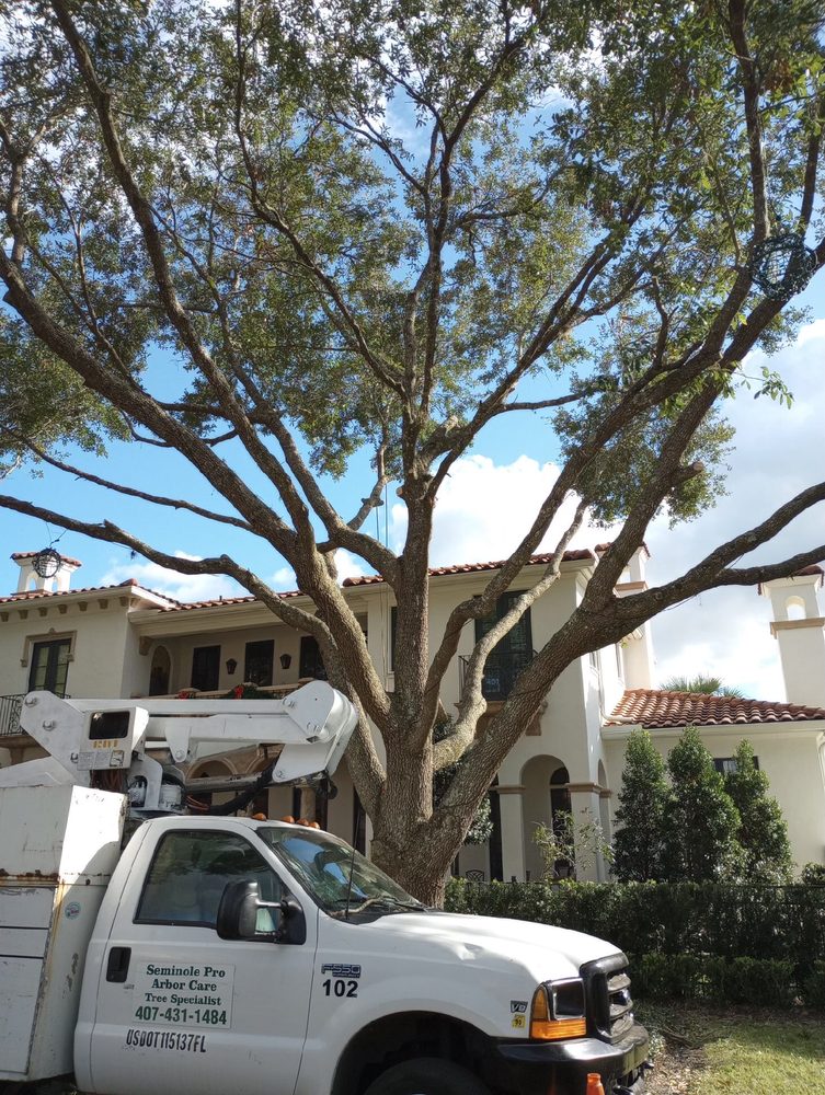 Seminole Pro Arbor Care