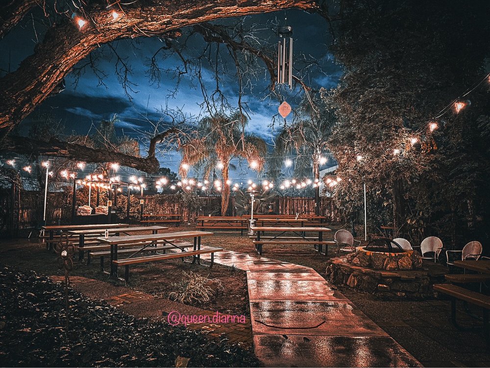 The Backyard Social Club