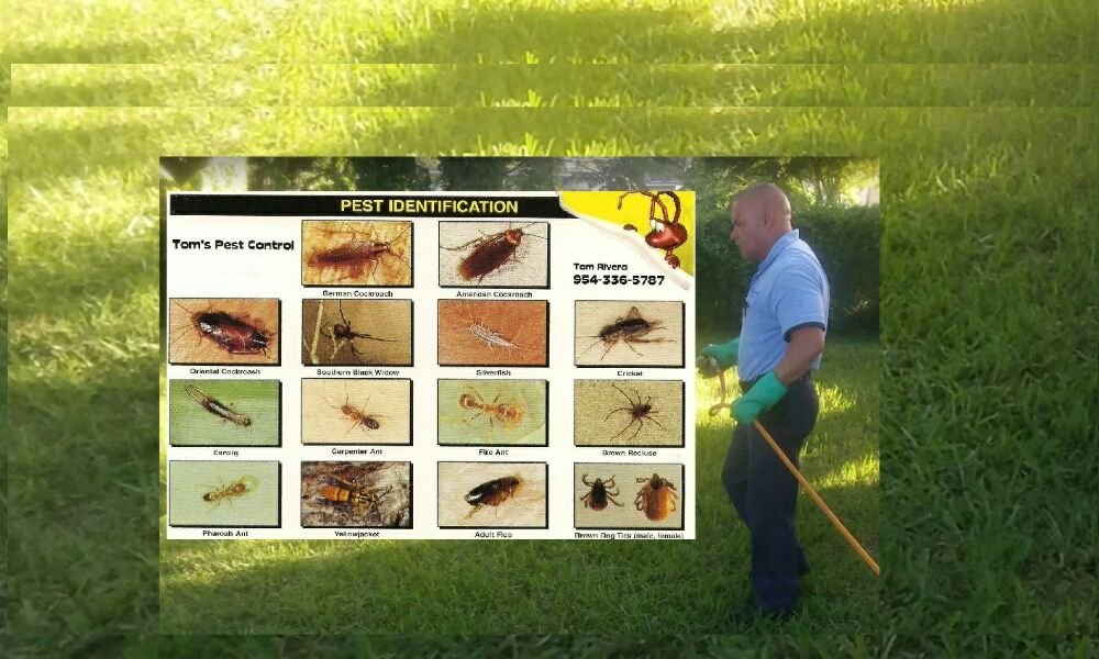 Tom's Pest Control