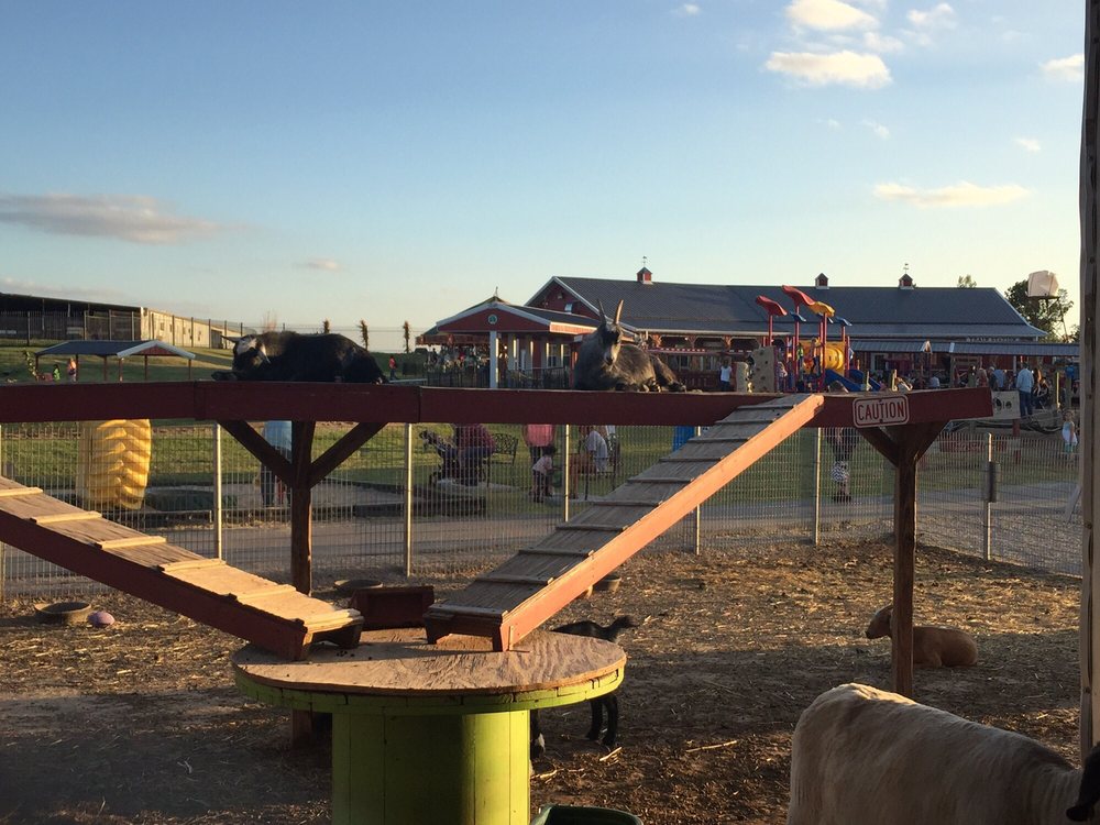 Orr Family Farm - 44 Photos & 18 Reviews - Amusement Parks - 14400 S