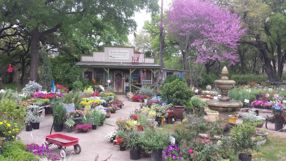 Wilson Landscape Nursery Florist 35 Photos Florists 14650 Wilson Landscape Nursery Florist 35 Photos Florists 14650 Bandera Rd Helotes Tx Phone Number Yelp