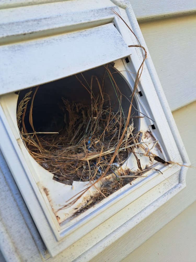 McGinnis Dryer Vent Cleaning Service