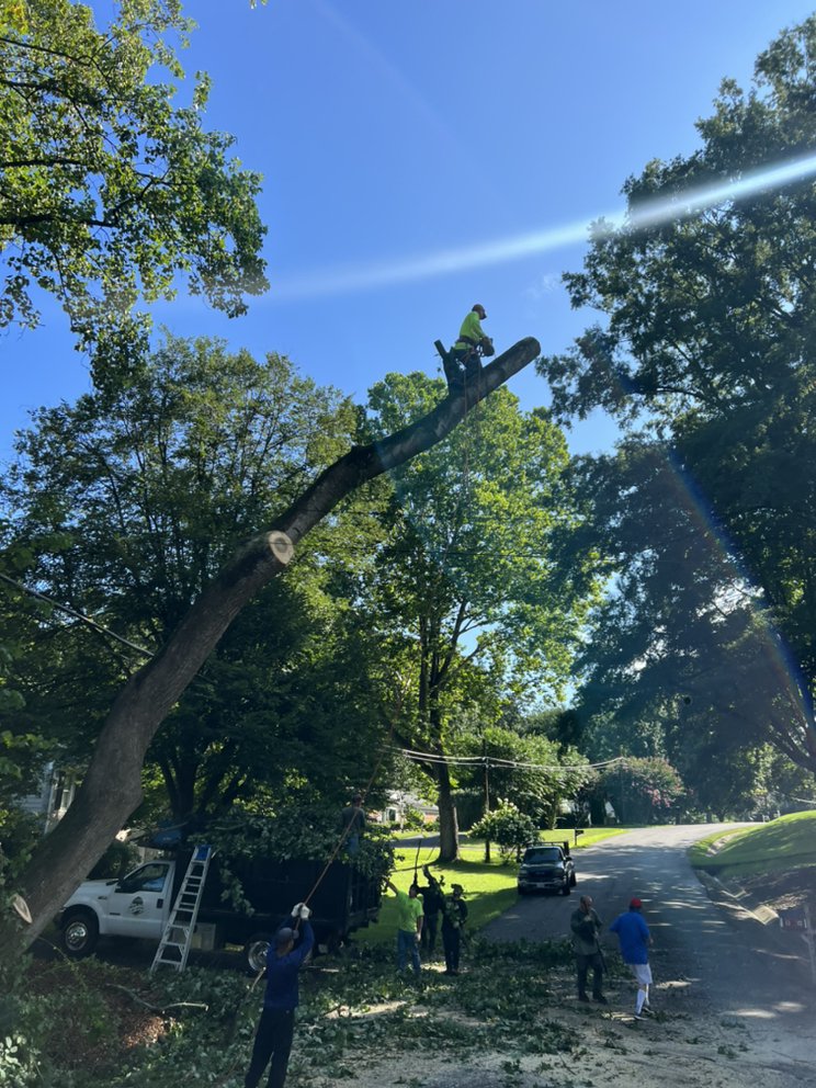 All About Landscaping