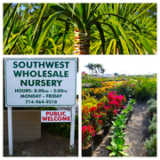 Southwest Whole Nursery Supplies 16 Photos 11 Reviews Photo Of Southwest Whole Nursery Supplies Huntington Beach Ca United States