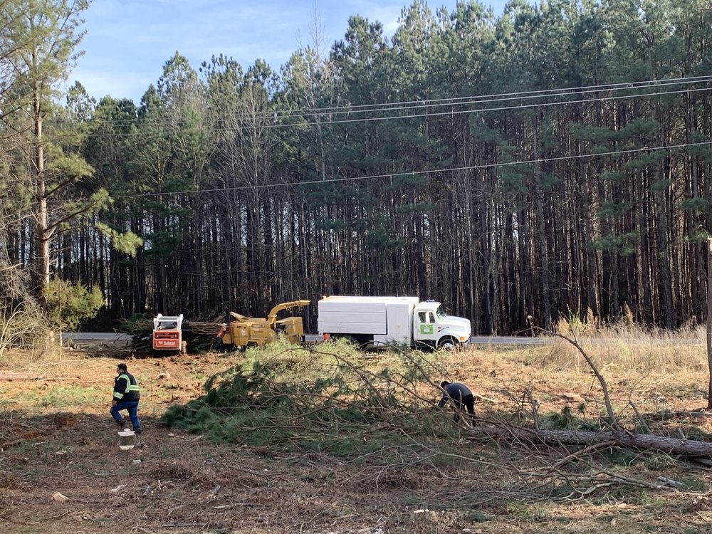 North Carolina Tree Removal