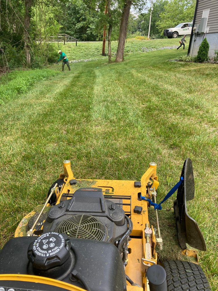 Quiñonez Lawn Care