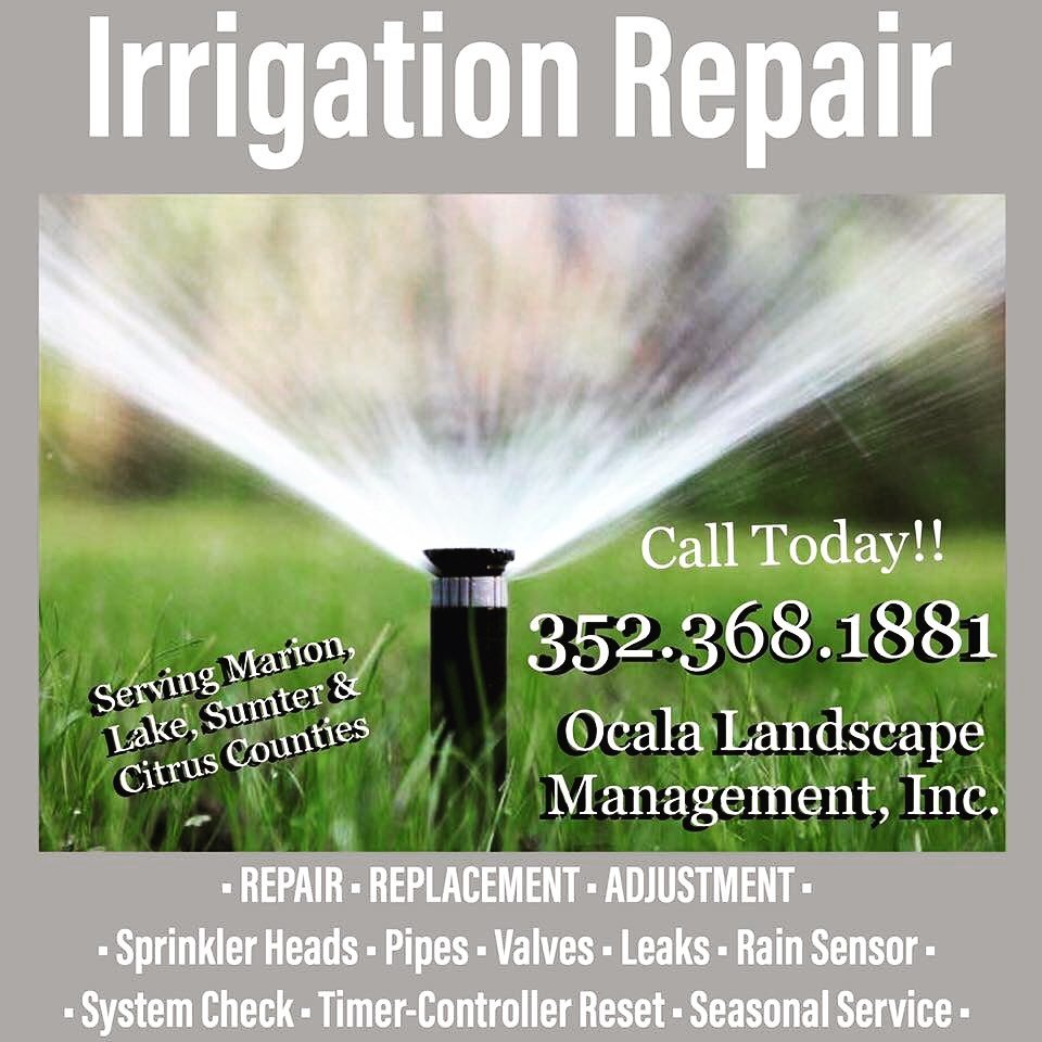 Ocala Landscape Management