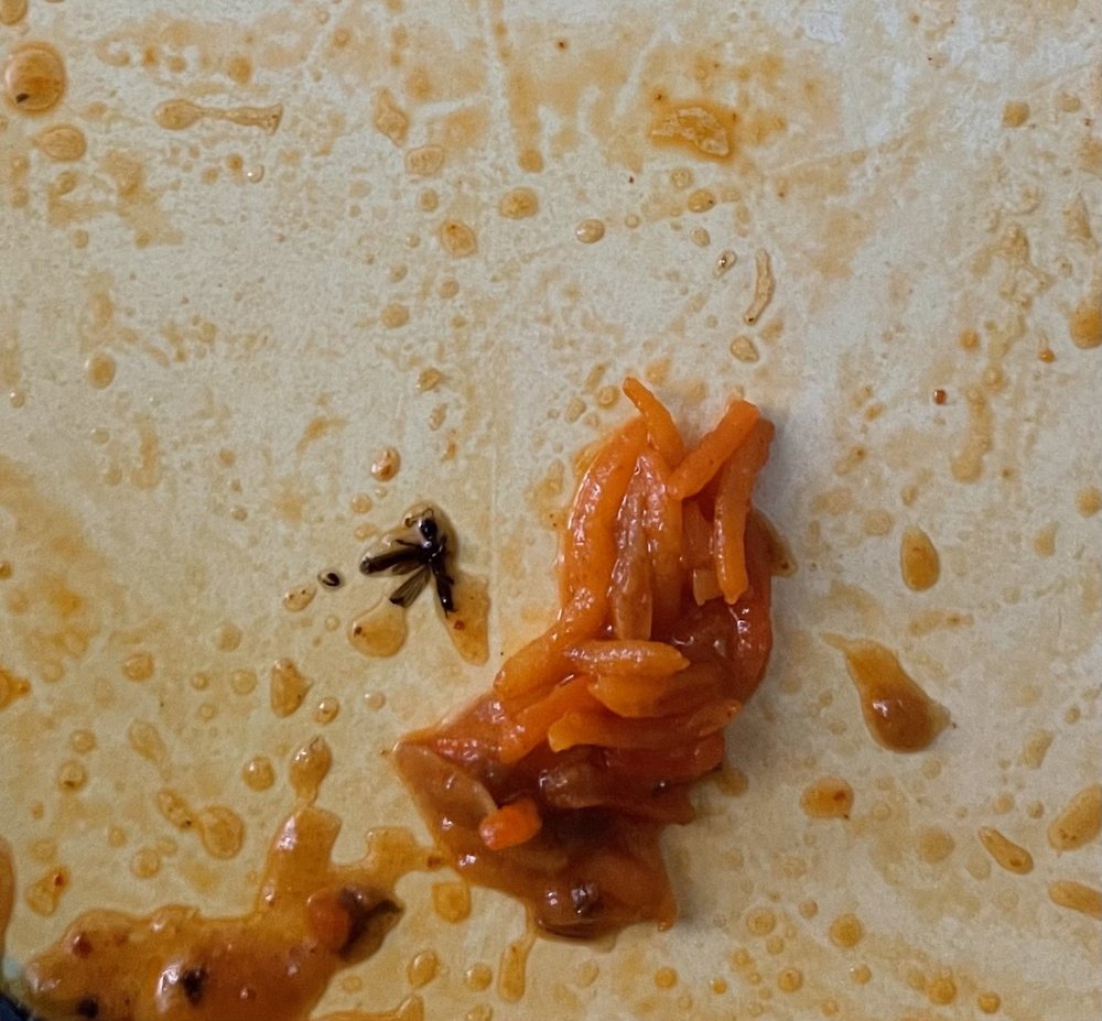 Tandoori Grill Tandoori Grill