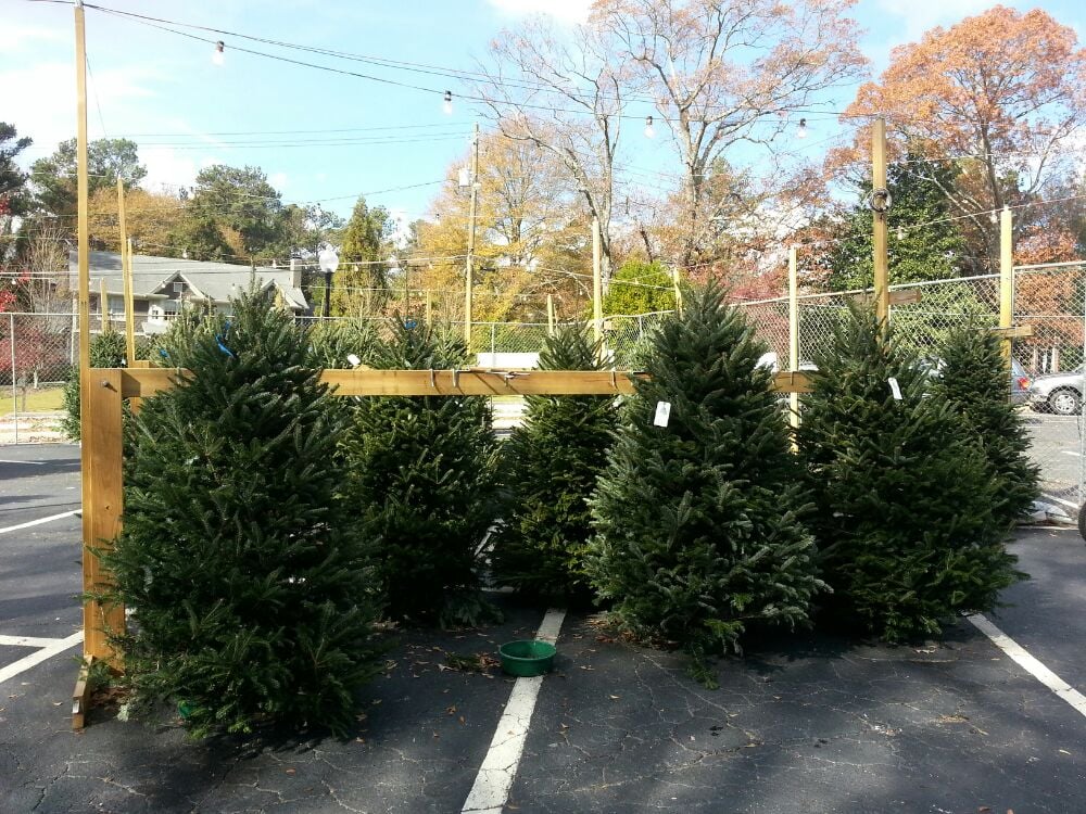 barefoot mountain farms christmas trees christmas trees barefoot mountain farms christmas trees christmas trees