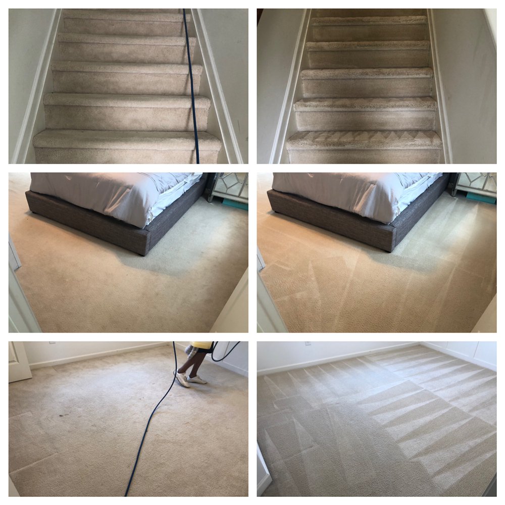 TopNotch Carpet & Upholstery Cleaning