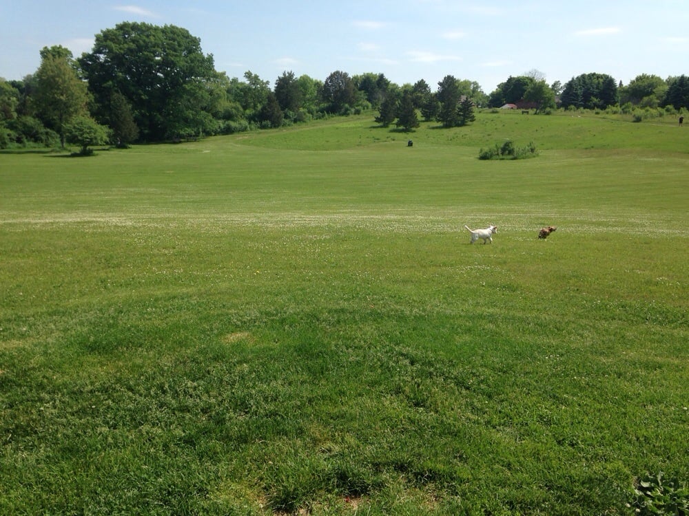 Nashotah Park Dog Exercise Area Pets W330 N5113 County Hwy C