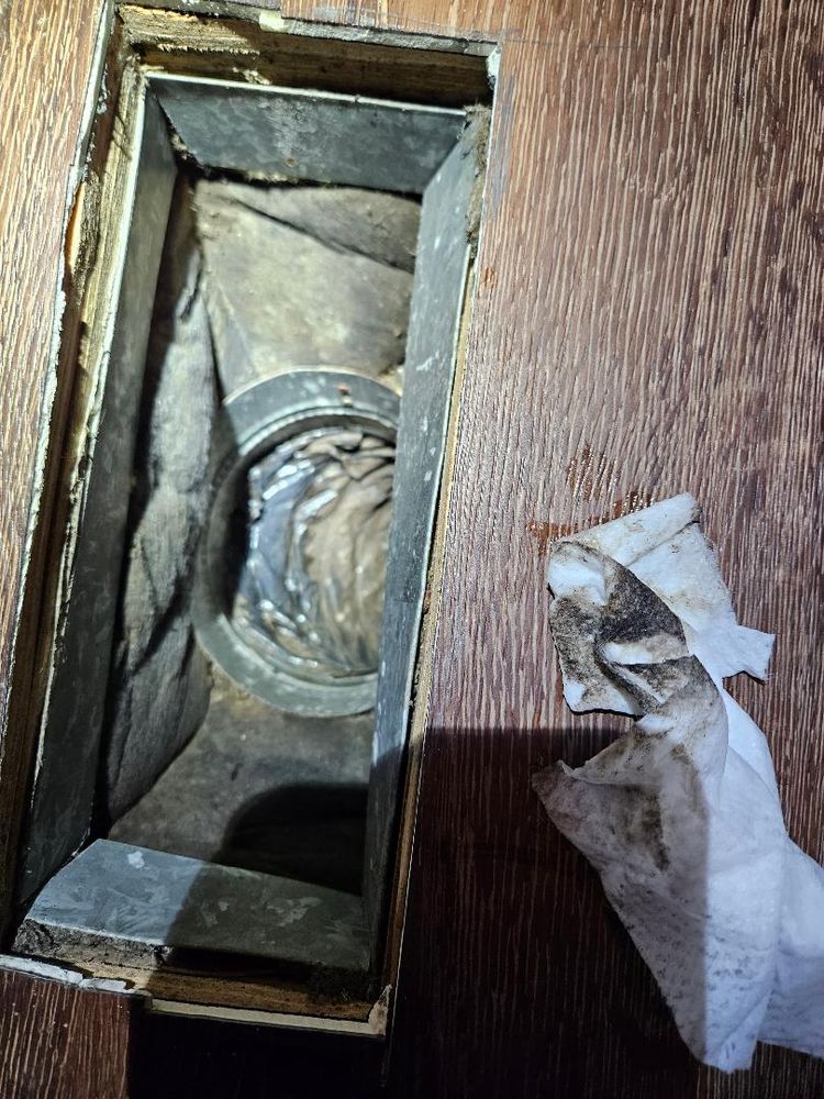 Carolina Ductmasters