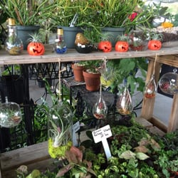 Growin Green Nursery 12 Photos Nurseries Gardening 1201 Photo Of Growin Green Nursery Raleigh Nc United States Aren T