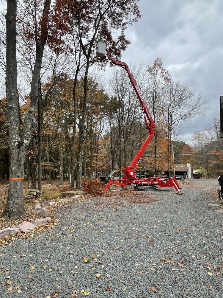 Greens Tree Service