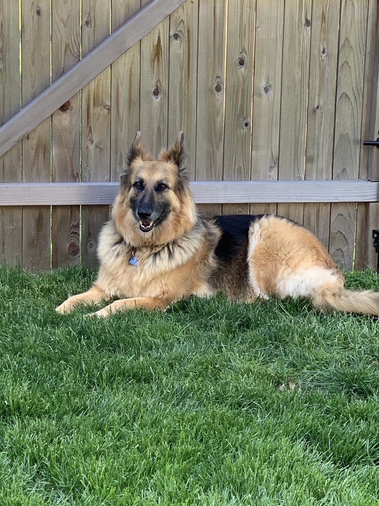 image of business Richboro Family Dentistry