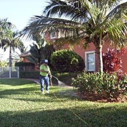 photo of tropical home and garden pest control plantation fl united states - Home And Garden Pest Control photo of tropical home and garden pest control plantation fl united states - Home And Garden Pest Control