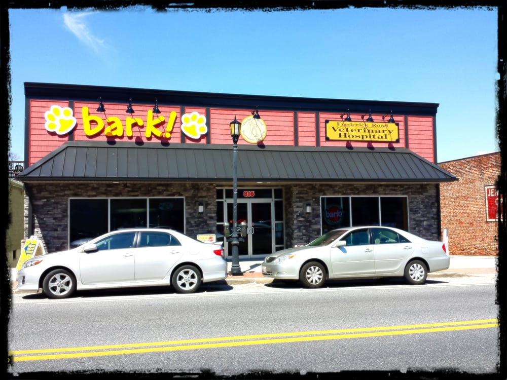bark pet shops 816 frederick rd catonsville md bark pet shops 816 frederick rd catonsville md