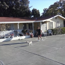 Benicia Motel Hotels 808 E 5th St Ca Phone Number Yelp Photo Of Benicia Motel Ca United States Little Dog Friendly